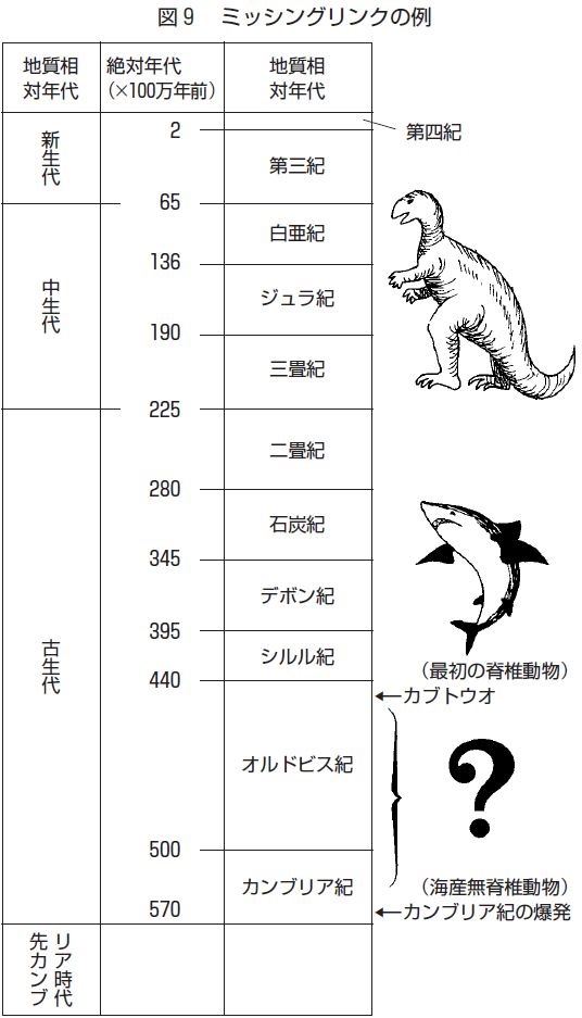 Kogensha News App